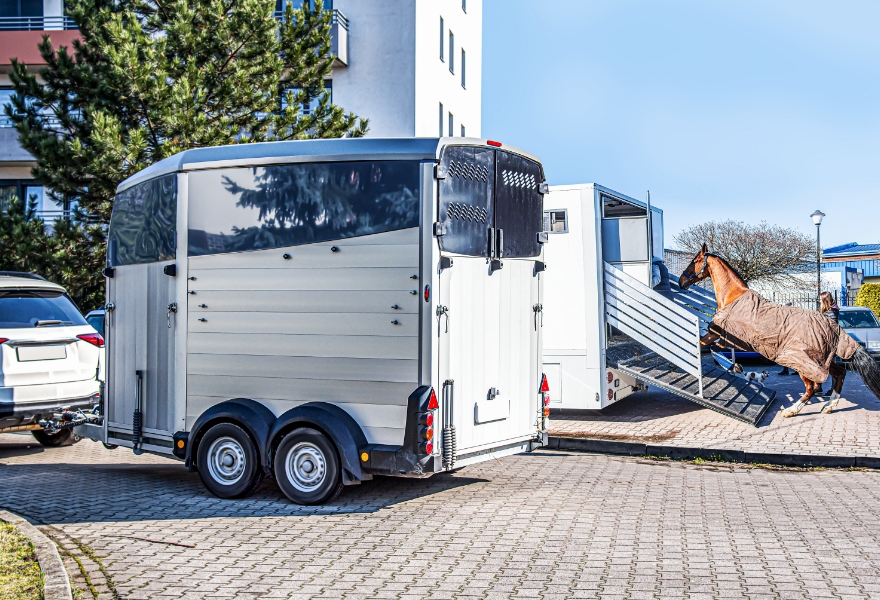 Horse Float Repairs Myrtleford